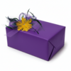 8" X 7" PGG Flower Clip