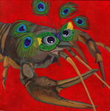 Crawfish Collection Cajun Card