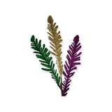 NEW!!! 40" PGG Leaf Stem