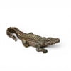 9" Small Natural Gator (Fall 2026 shipping)