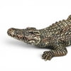 9" Small Natural Gator (Fall 2026 shipping)